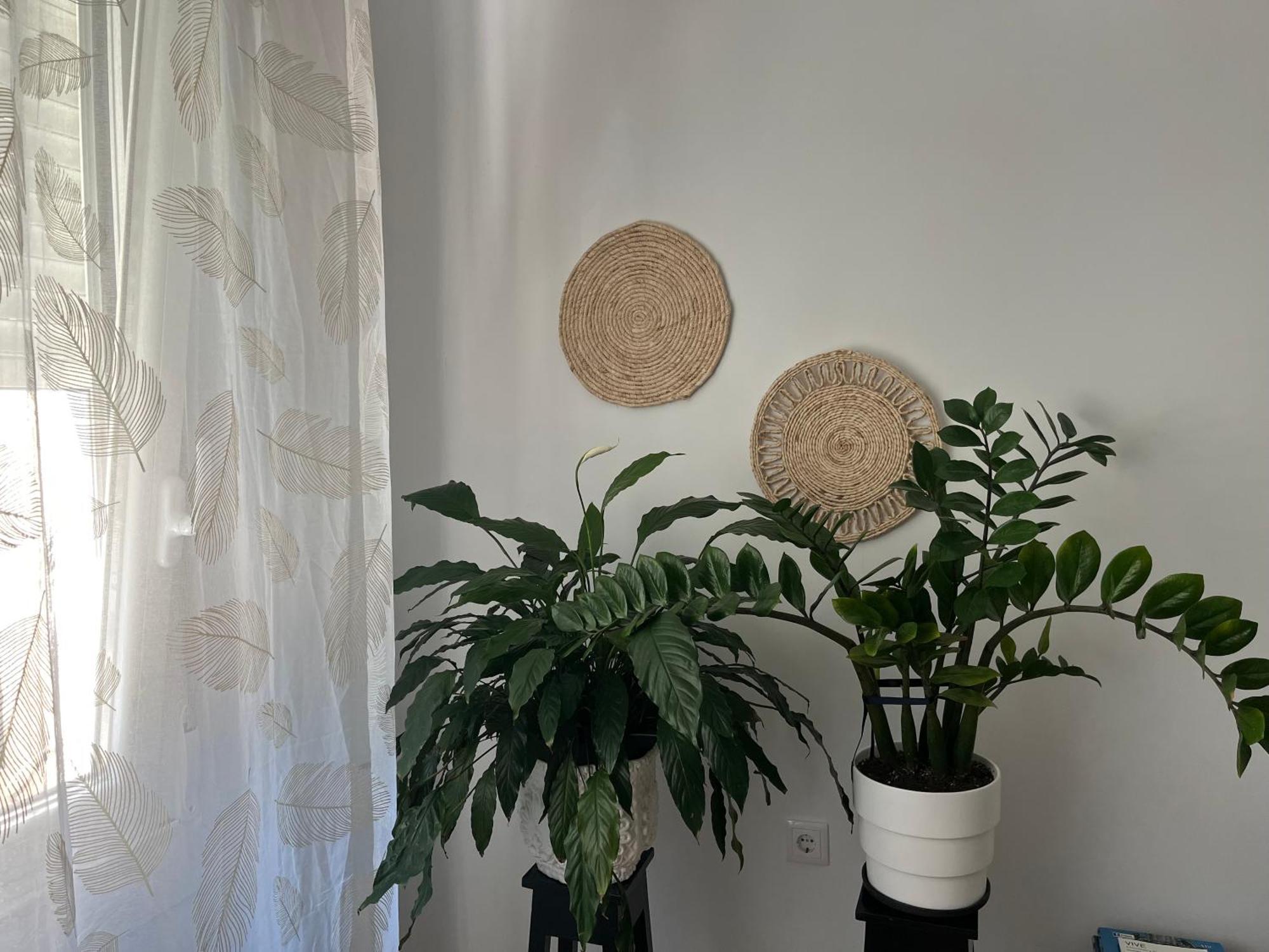 Casablanca 95 Apartment Vigo Ngoại thất bức ảnh